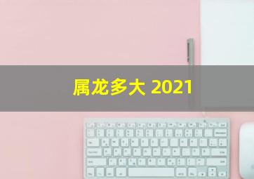 属龙多大 2021